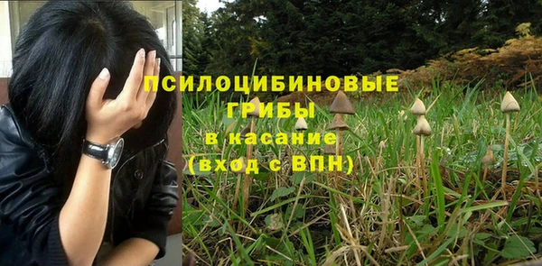спиды Нижний Тагил